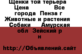 Щенки той терьера › Цена ­ 10 000 - Все города, Пенза г. Животные и растения » Собаки   . Амурская обл.,Зейский р-н